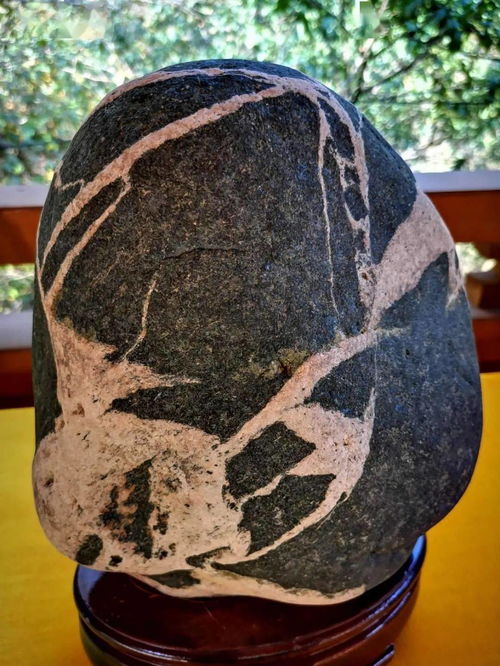 阜平縣第二屆雪浪石文化展 石韻天成，文蘊流傳