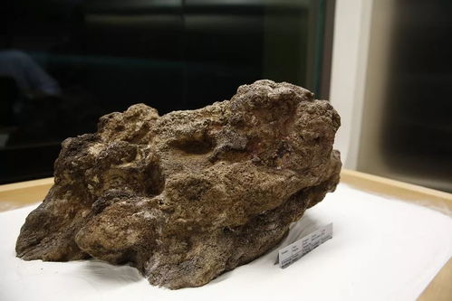 撿石者的意外驚喜 木雕刻品，價(jià)值連城的自然饋贈(zèng)